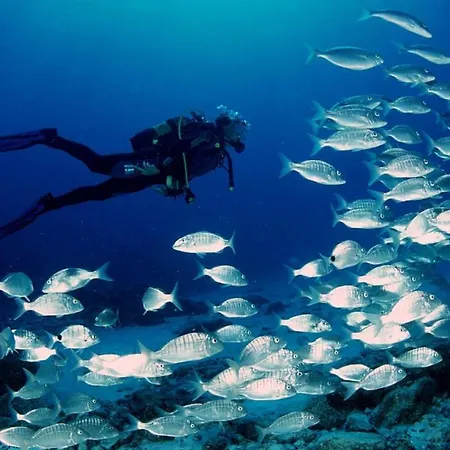 Marina Del Port 1 L'Ametlla de Mar
